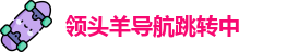 领头羊导航跳转中